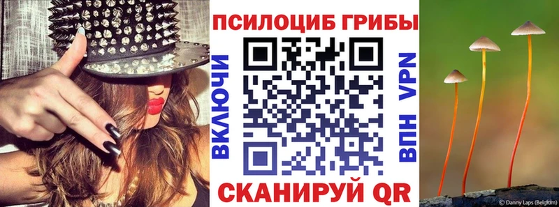 Купить где  Пугачёв  Псилоцибиновые грибы Magic Shrooms 